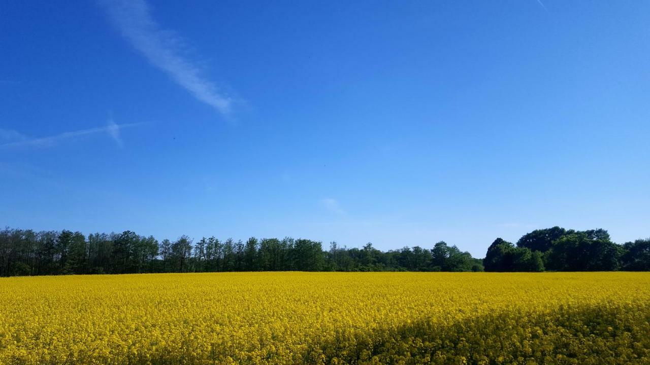 Ferienwohnung Finja In Putgarten, Kap Arkona Ruegen Экстерьер фото